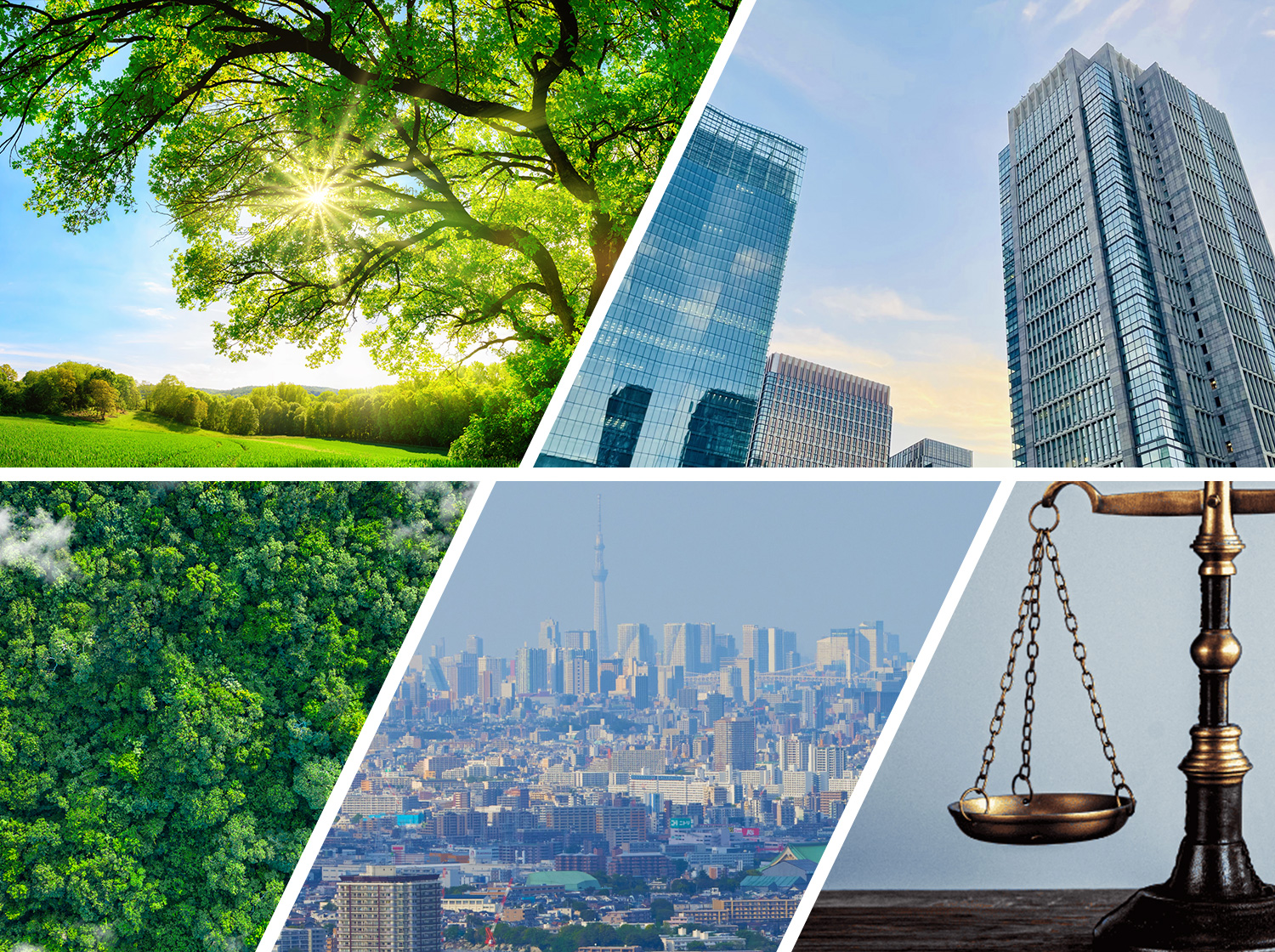 サステナビリティ