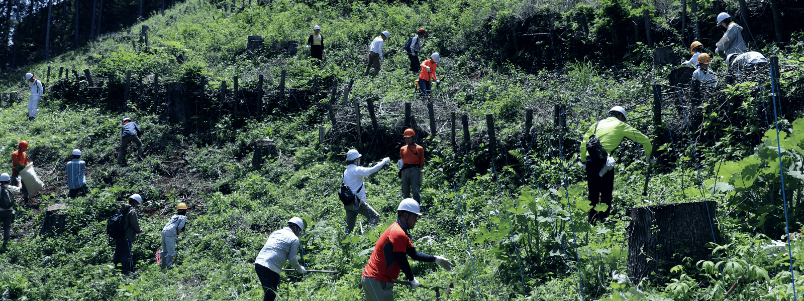 環境ボランティア活動1